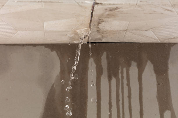 Professional Sewage Cleanup technician working in Reedsville, WI